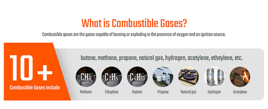10+ Combustible Gases Includes